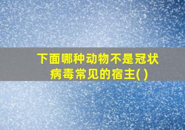 下面哪种动物不是冠状病毒常见的宿主( )